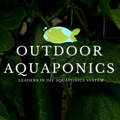 Outdoor Aquaponics